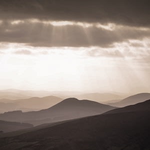 Covid-19: Winning the peace