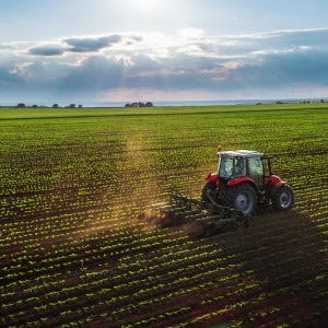 Industry funds eye agriculture investment