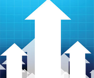 Wholesale funds reap rewards of market recovery