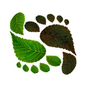 Vision Super further de-carbonises portfolio