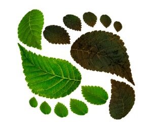 Vision Super further de-carbonises portfolio