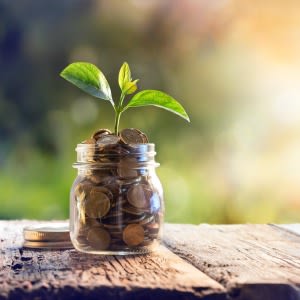 Setting principles and boundaries needed for ESG
