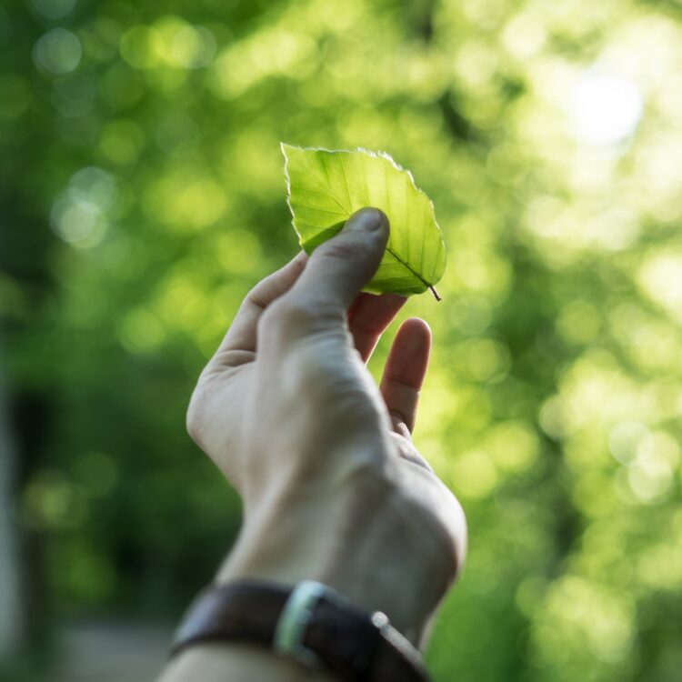 Finding sustainable companies that thrive