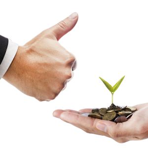 Investors going green with bonds