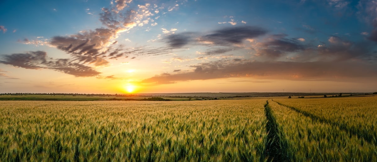 Super funds lagging renewable investments, research finds - Super Review